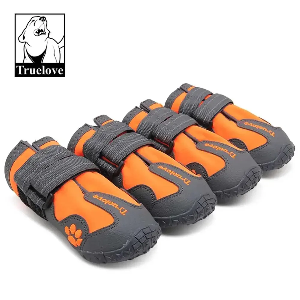 Chaussure chien | Imperméable et réfléchissante (grandes tailles)