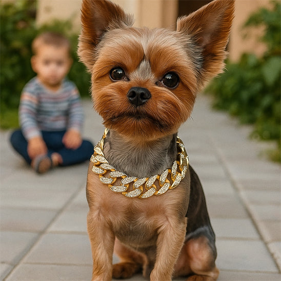 Collier chien | chaine en plastique ABS résistante