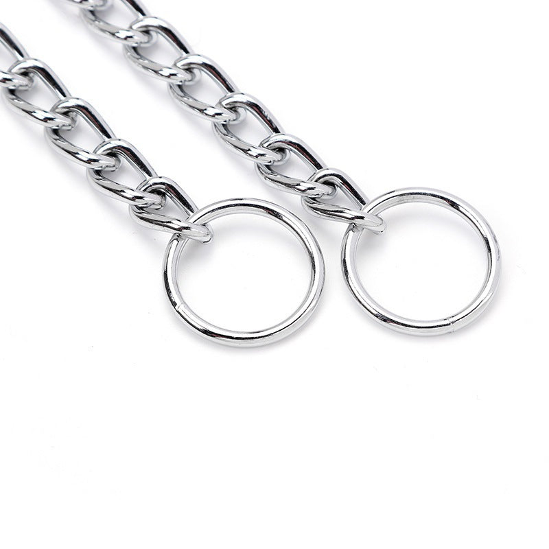 Collier chien | chaine antidérapante