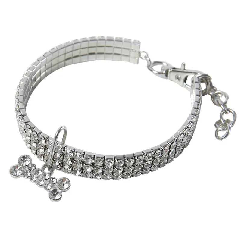 Collier chien | Chic et brillant