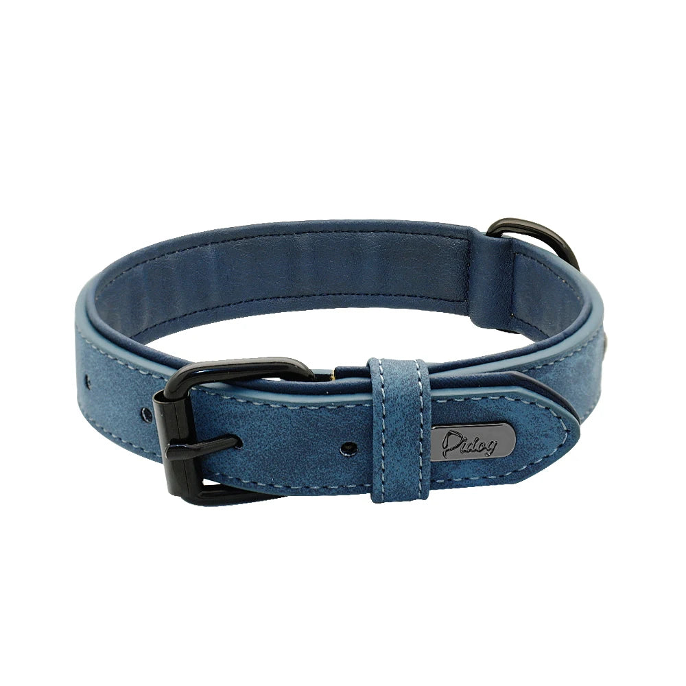 Collier chien cuir | Doux et rembourré