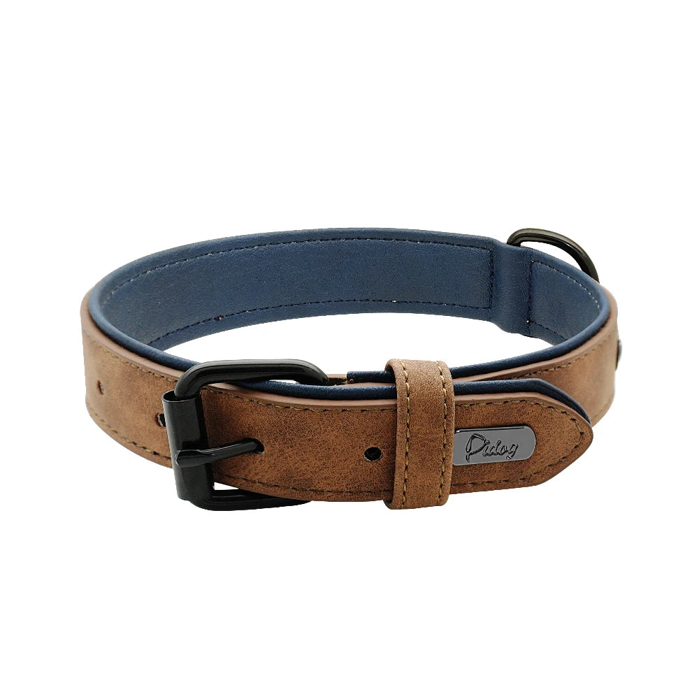 Collier chien cuir | Doux et rembourré