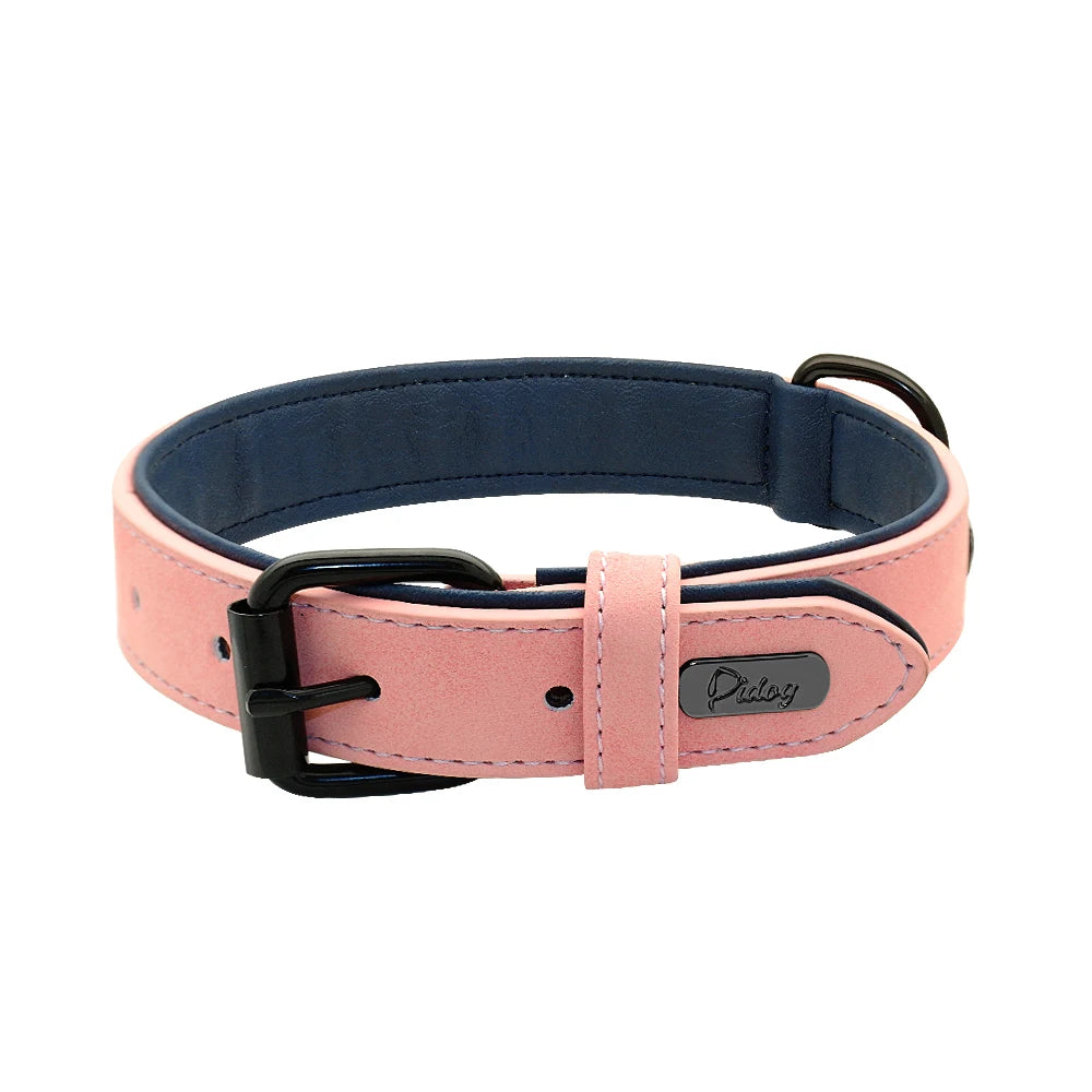 Collier chien cuir | Doux et rembourré