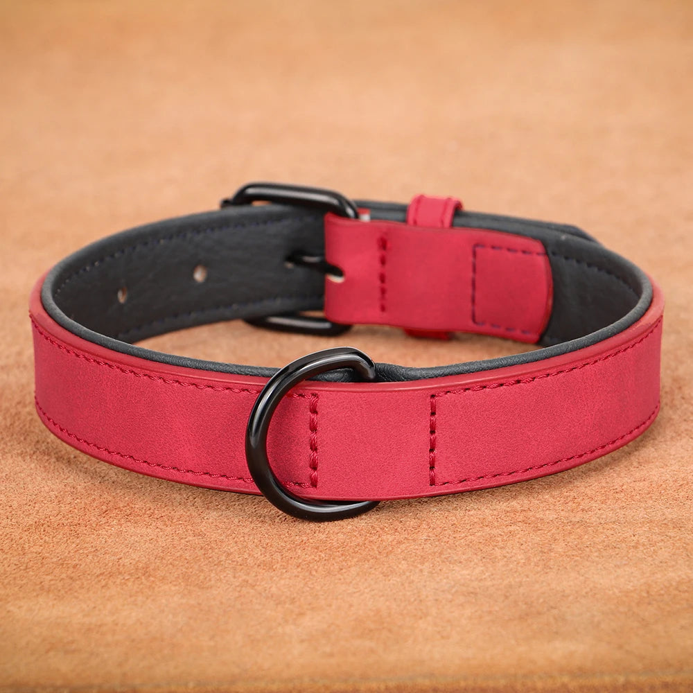 Collier chien cuir doux rembourré rouge