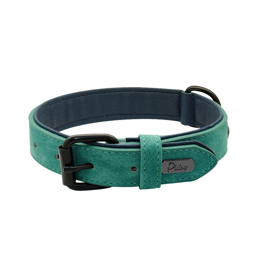 Collier chien cuir | Doux et rembourré