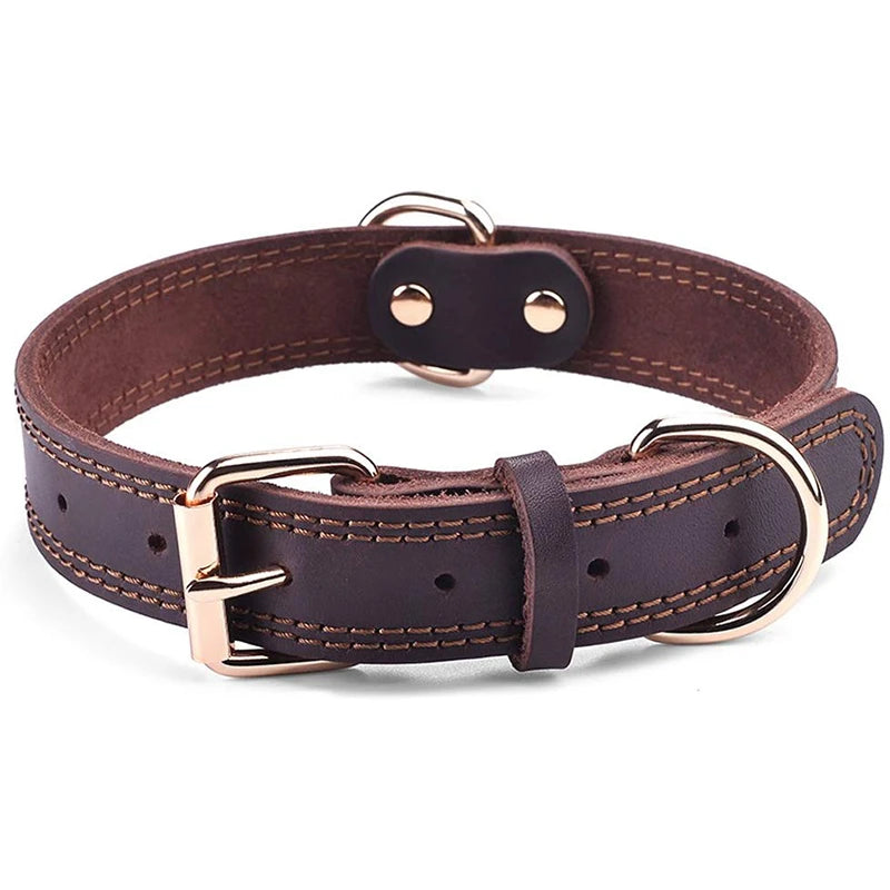 Collier chien cuir | Durable et fonctionnel
