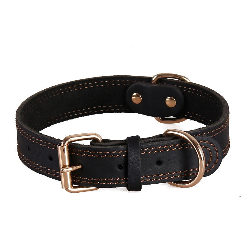 Collier chien cuir durable fonctionnel modèle noir