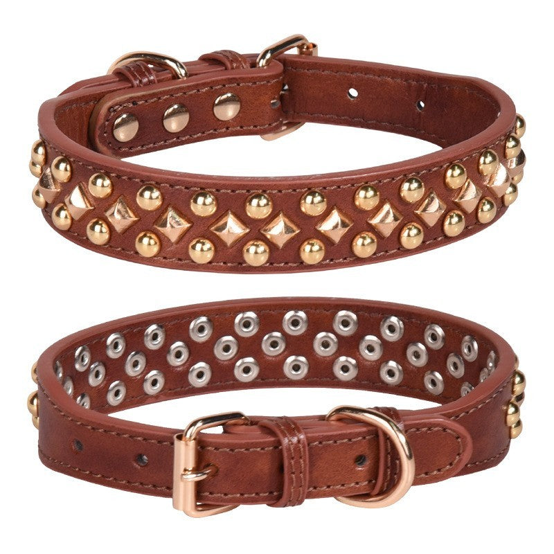 Collier chien cuir | Rivets anti-morsure