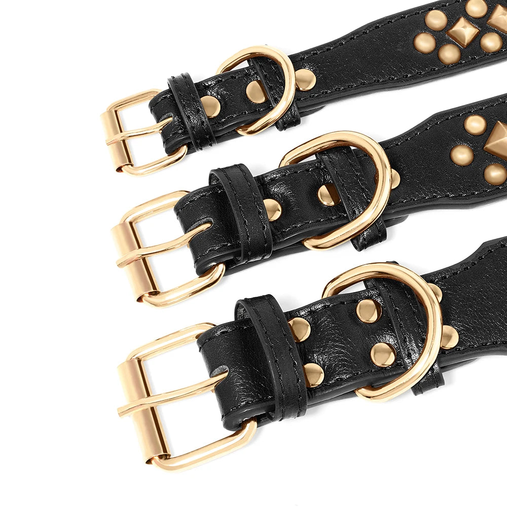 Collier chien cuir | Rivets anti-morsure