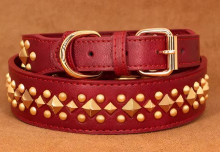 Collier chien cuir | Rivets anti-morsure