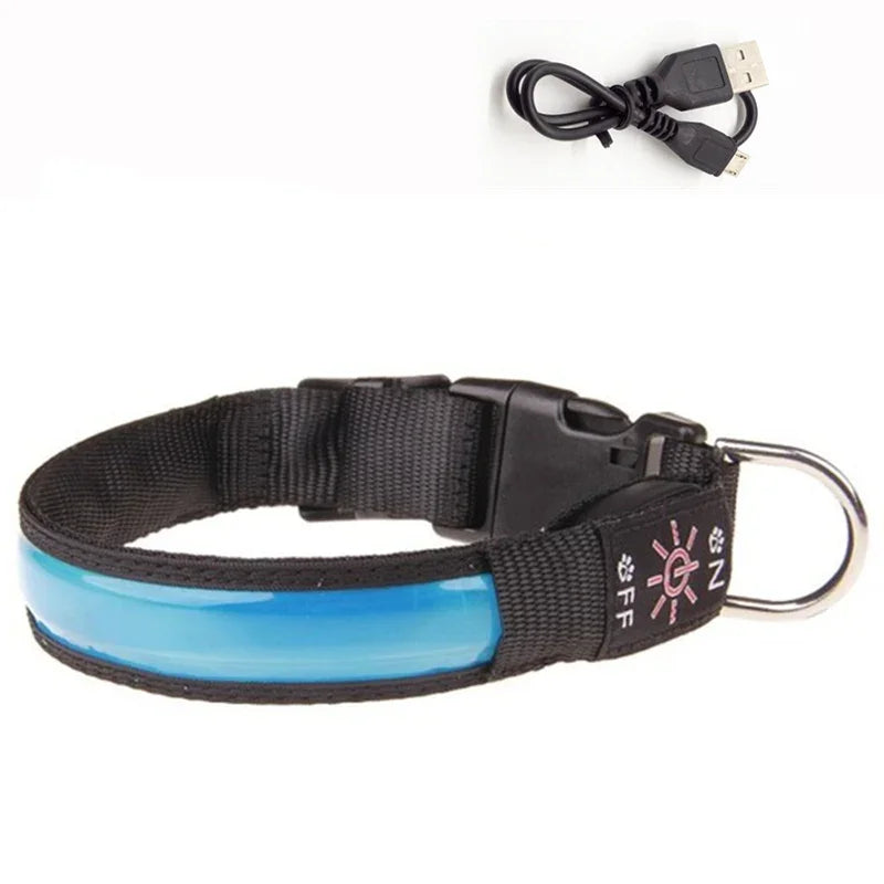 Collier pour chien lumineux | rechargeable