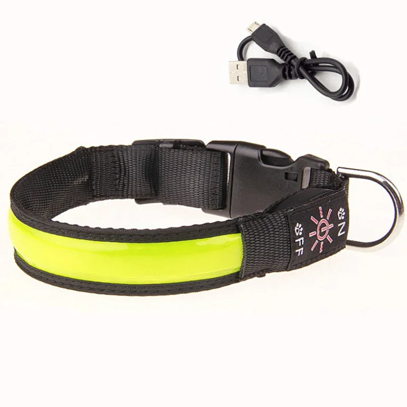 collier pour chien lumineux rechargeable jaune