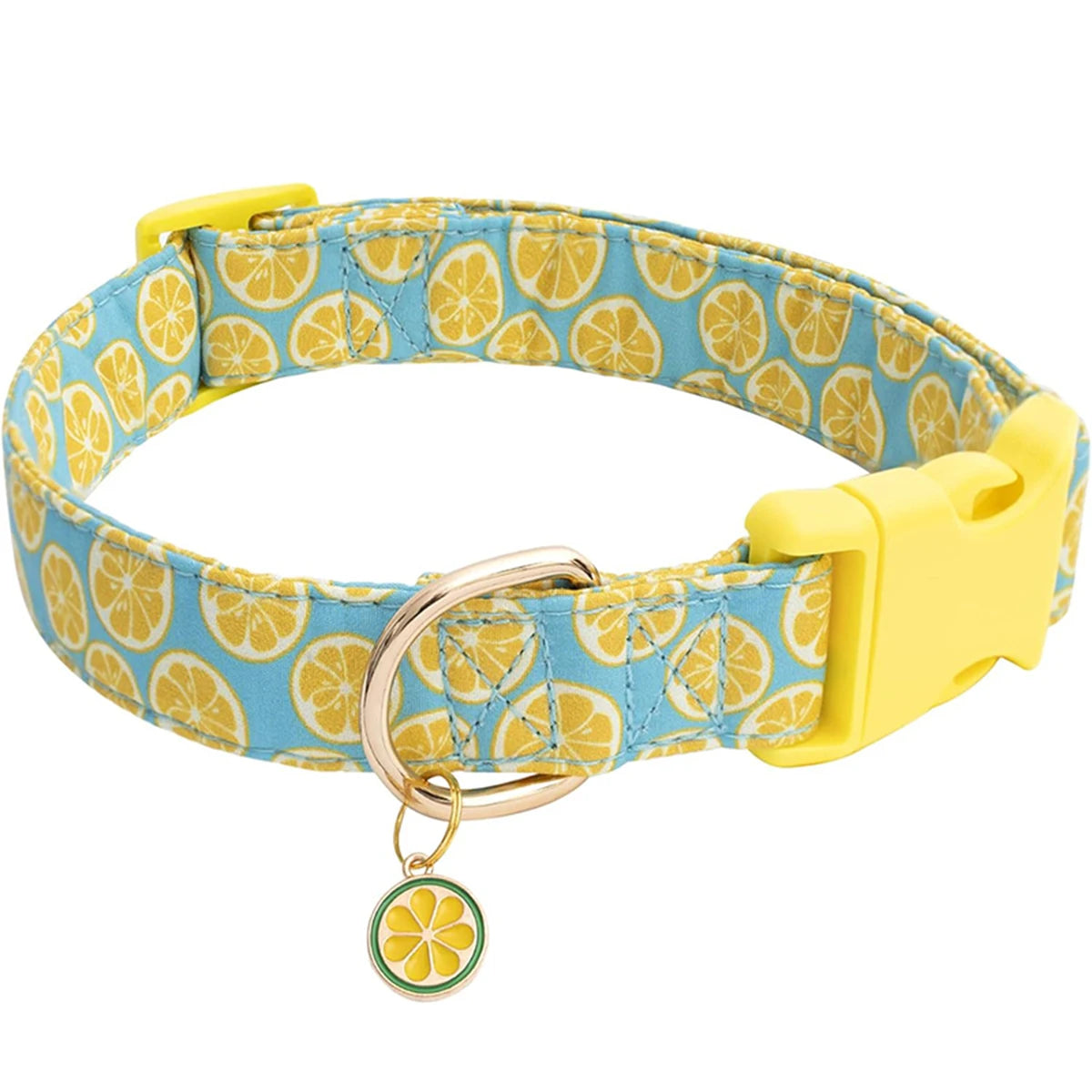 Collier chien | Motif de fruits tropicaux