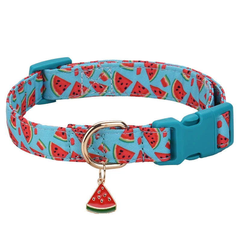 Collier chien | Motif de fruits juteux