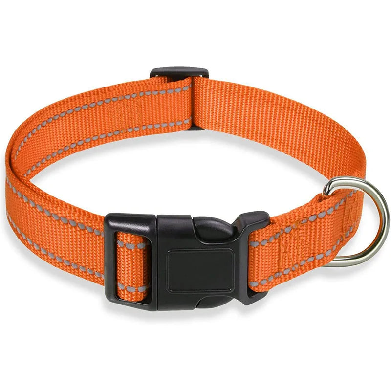 Collier chien réfléchissant résistant orange