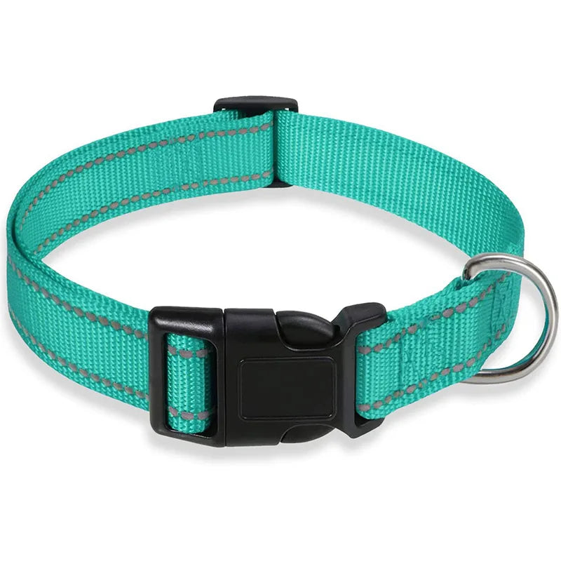 Collier chien | Sécuritaire et réfléchissant (couleurs pâles)