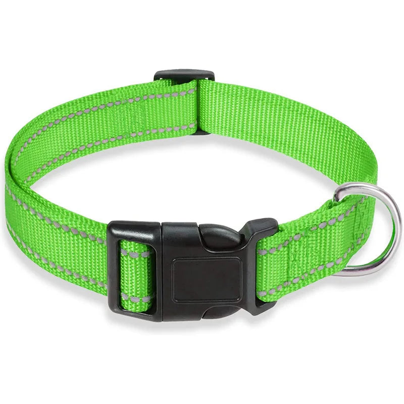 Collier chien | Sécuritaire et réfléchissant (couleurs pâles)