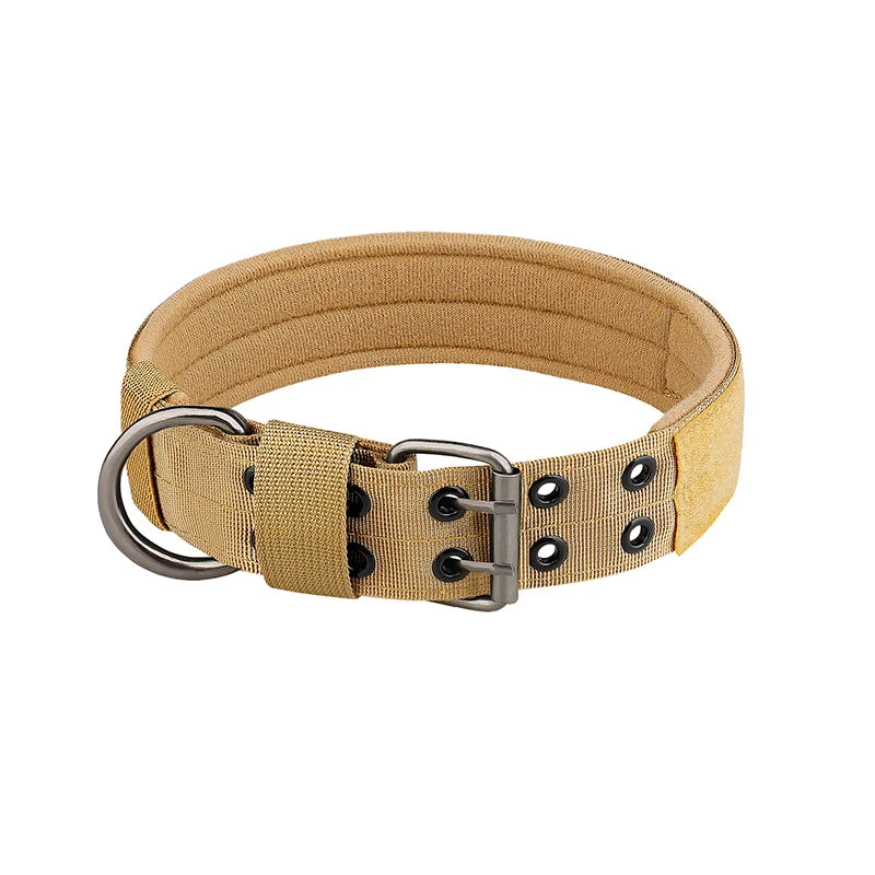 Collier chien | tactique et durable
