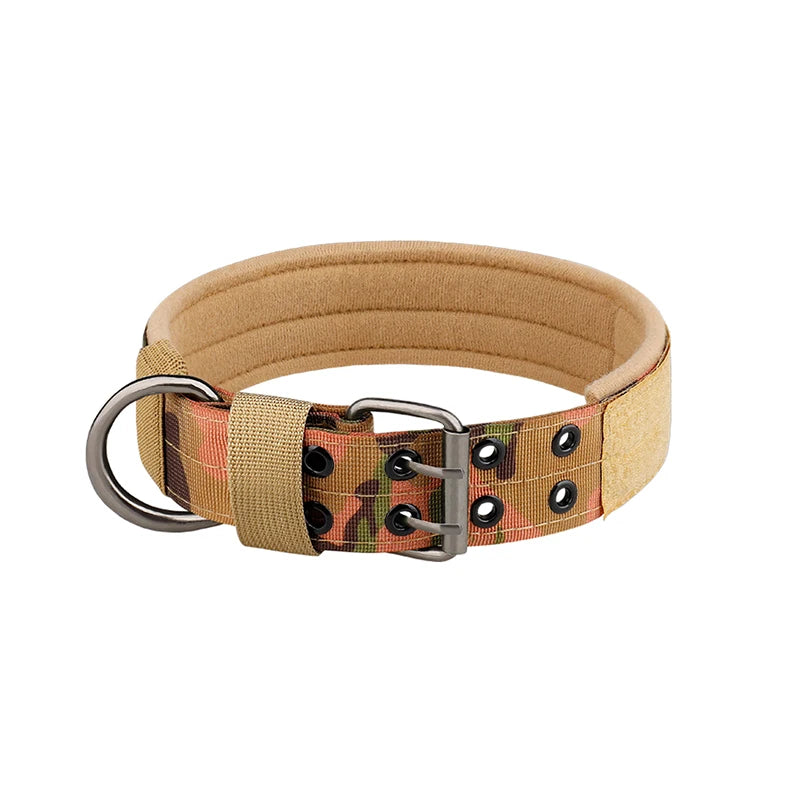 Collier chien | tactique et durable