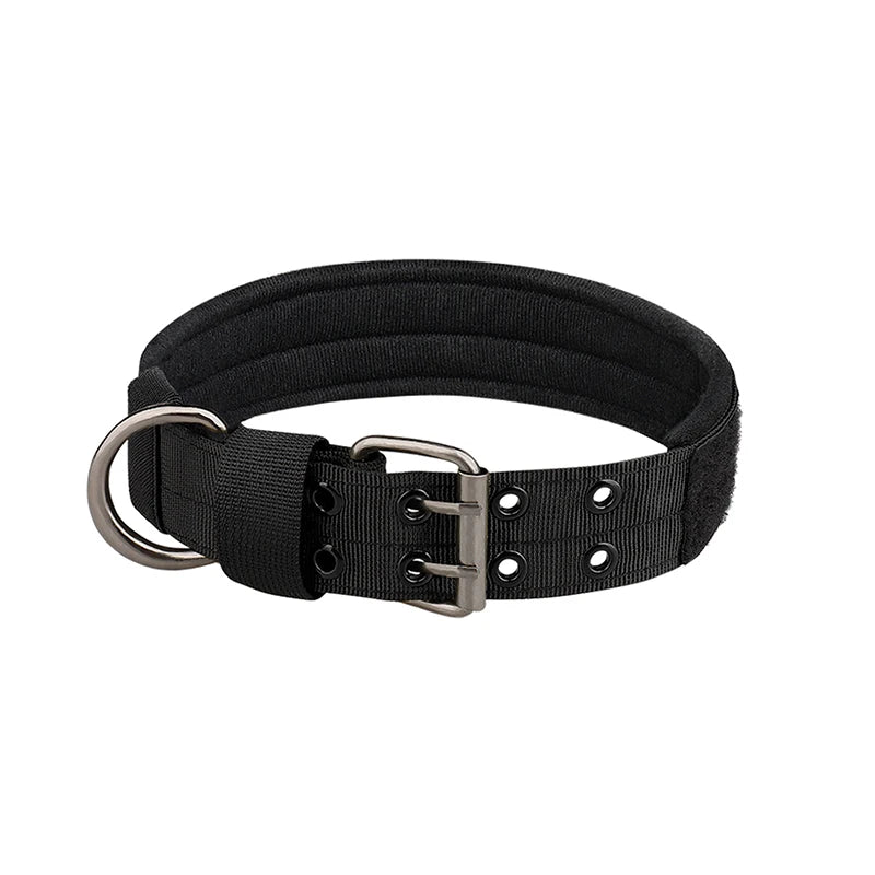 Collier chien | tactique et durable