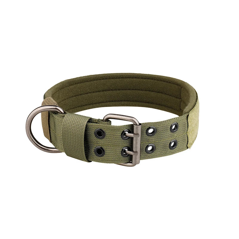 Collier chien | tactique et durable