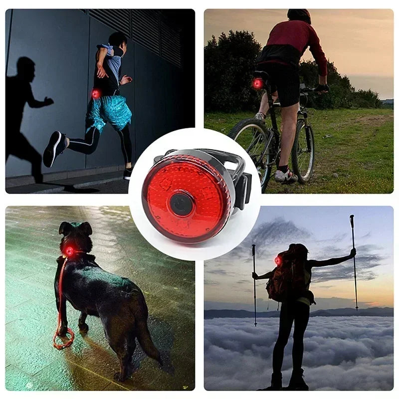Collier chien lumineux | lampe de poche (lots)
