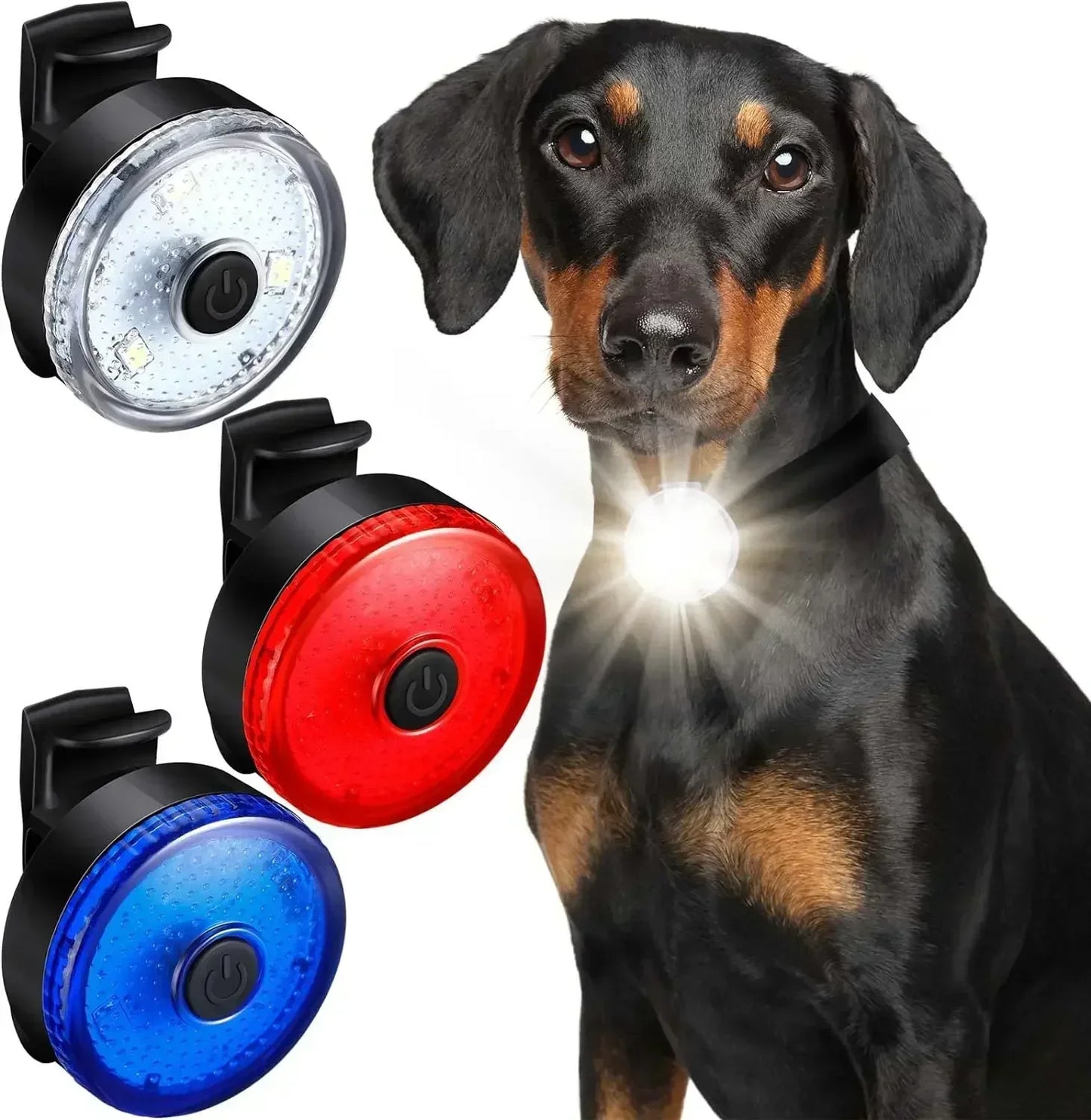 Collier chien lumineux | lampe de poche (lots)