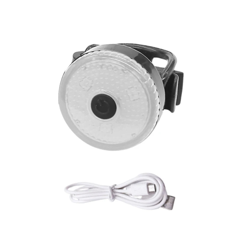 Collier chien lumineux | lampe de poche
