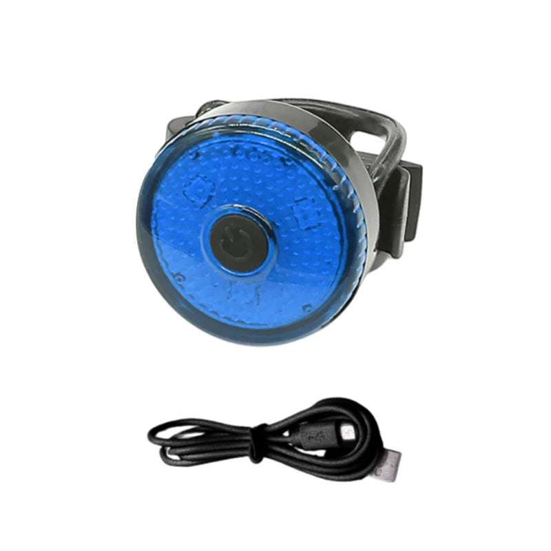 Collier chien lumineux lampe poche lot bleu