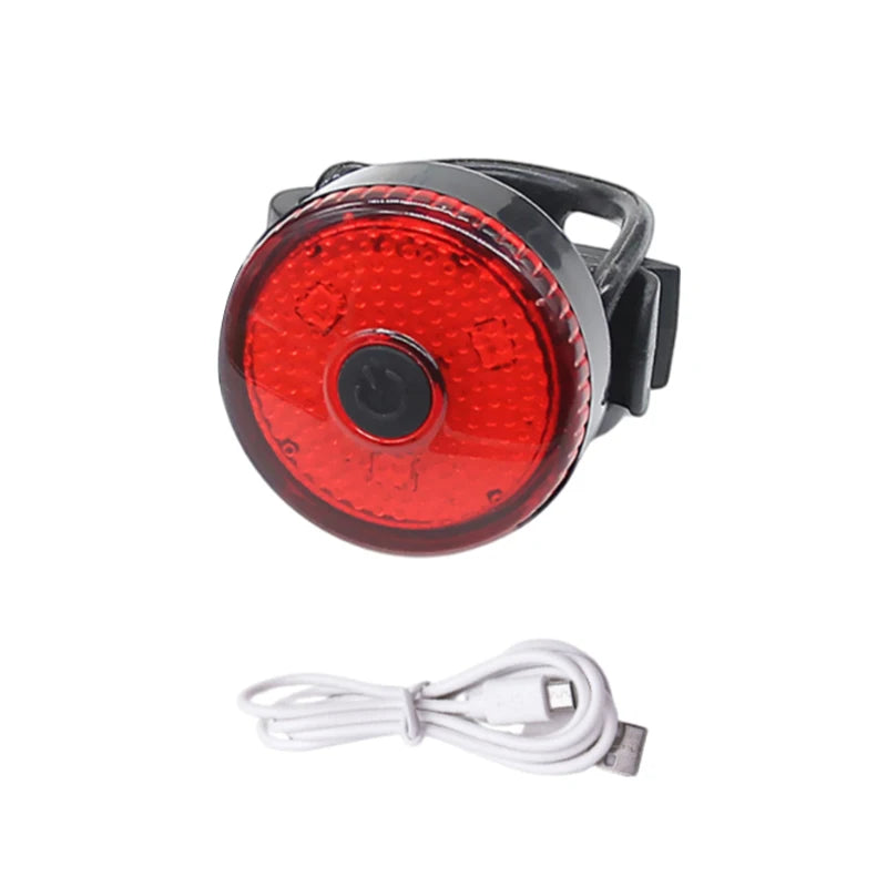 Collier chien lumineux | lampe de poche