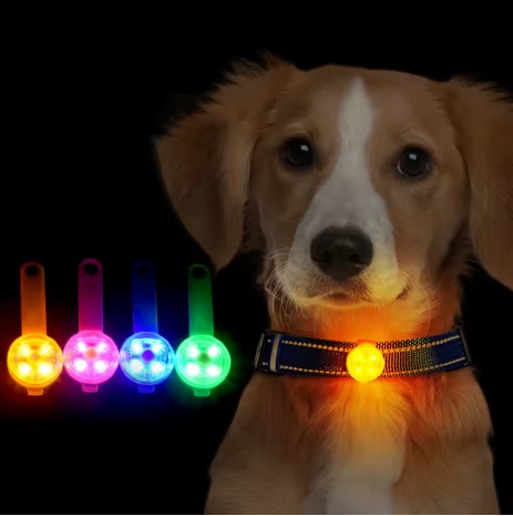 Collier chien lumineux | lampe pendentif