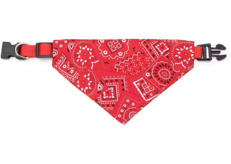 Collier chien | Bandana cowboy