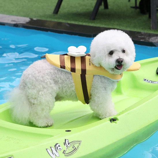 Gilet sauvetage chien forme abeille bichon paddle piscine profil droit