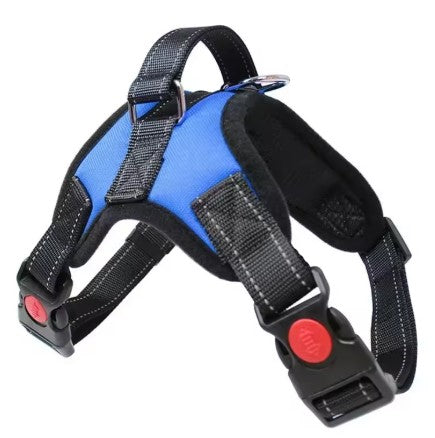 Harnais chien | anti-traction et ajustable