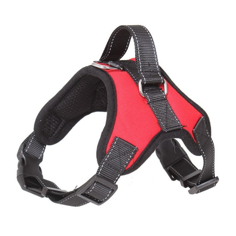 Harnais chien | anti-traction et ajustable