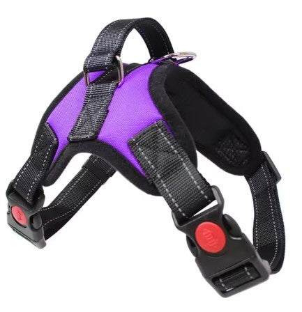 Harnais chien | anti-traction et ajustable