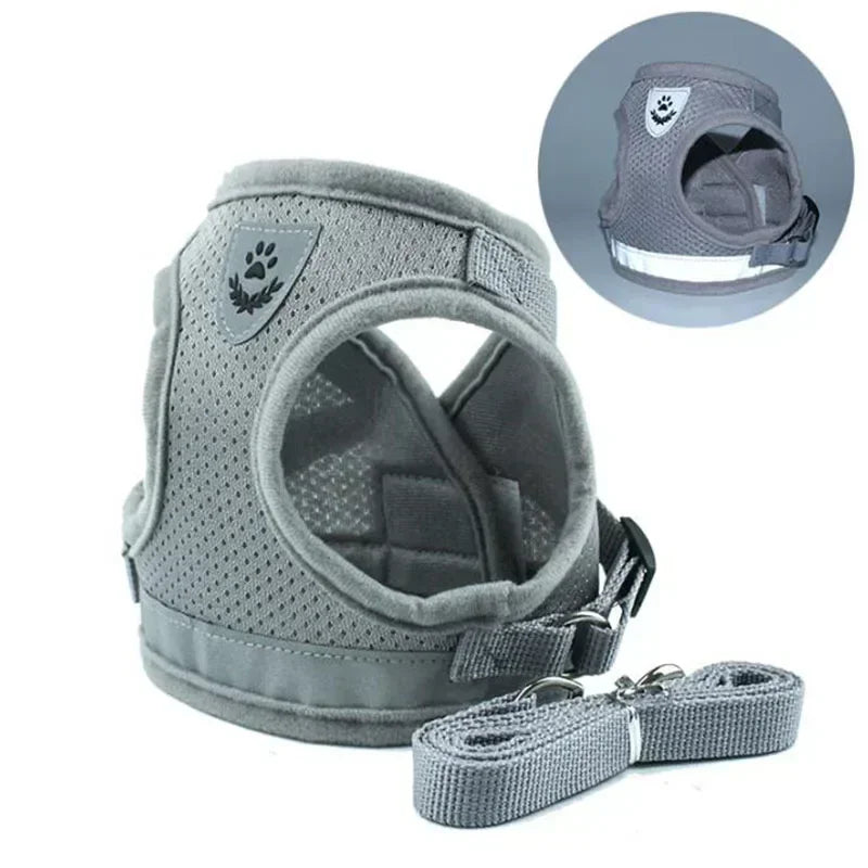 Harnais chien confort petites taille démo gris