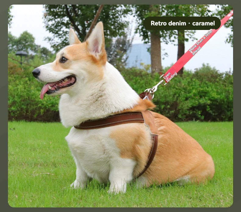Harnais chien | Cuir et denim