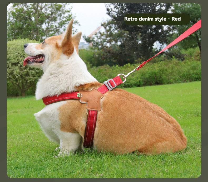 Harnais chien | Cuir et denim