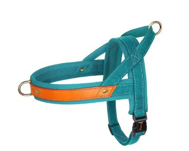 Harnais chien | durable et rembourré