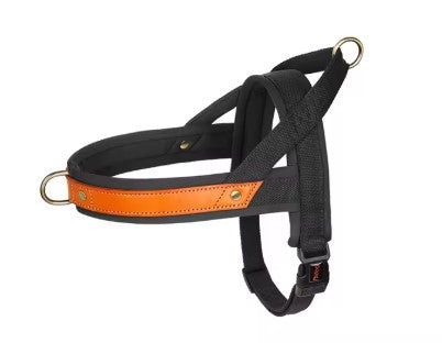 Harnais chien durable et rembourré noir
