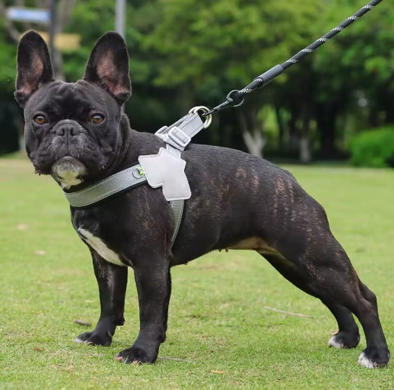 Harnais chien | extensible et réfléchissant