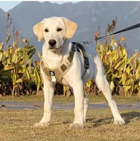 Harnais chien | Grande mobilité