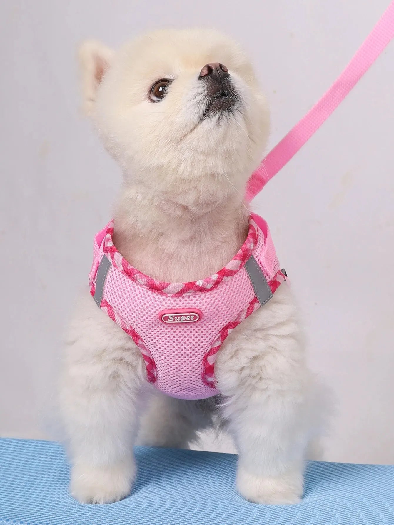 Harnais chien | Joli pour chiot