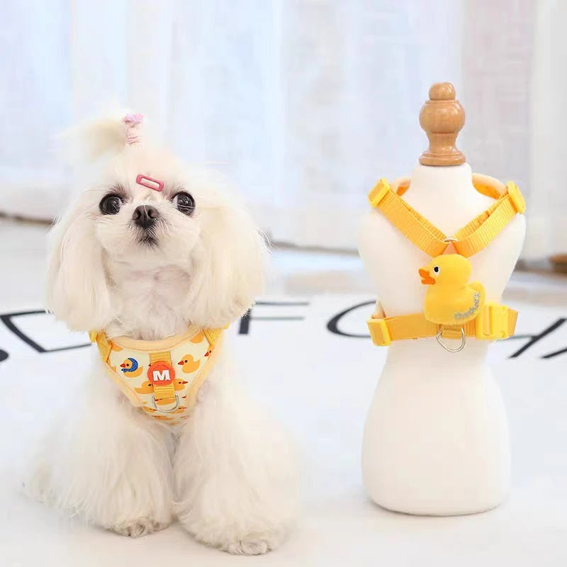 Harnais chien | motif canard