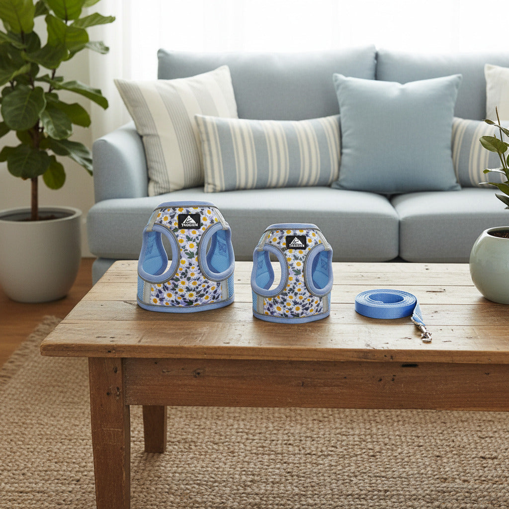 Harnais pour petit chien | Motif marguerites