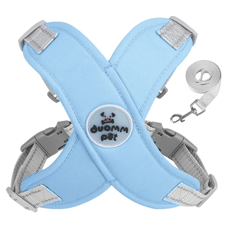 Harnais chien | Protecteur et design en X