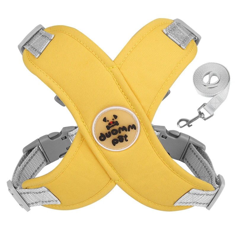 Harnais chien | Protecteur et design en X