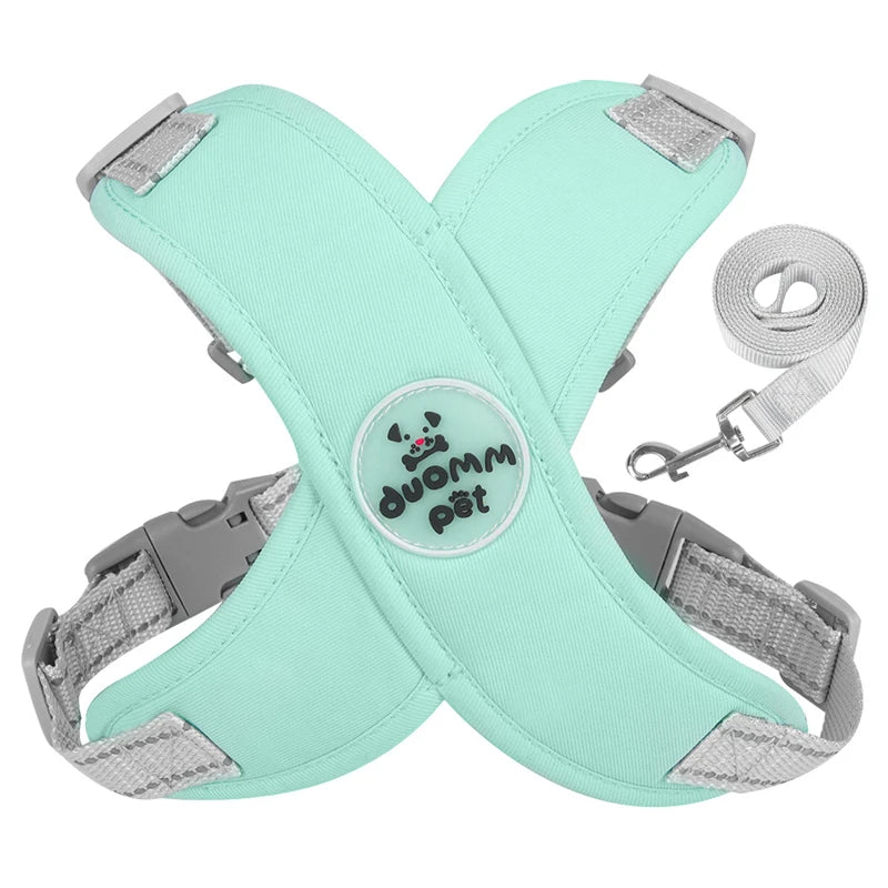 Harnais chien | Protecteur et design en X