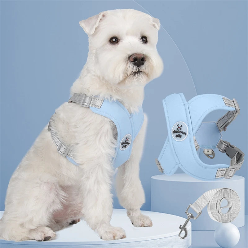 Harnais chien | Protecteur et design en X